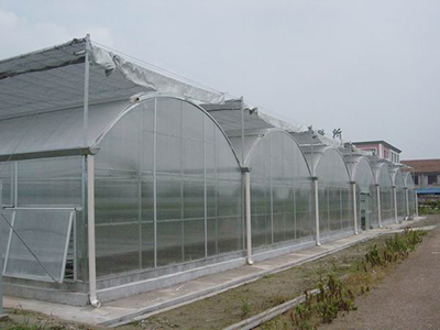 PC板農(nóng)用蔬菜大棚圖片